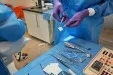Bio Gide membraan op maat knippen