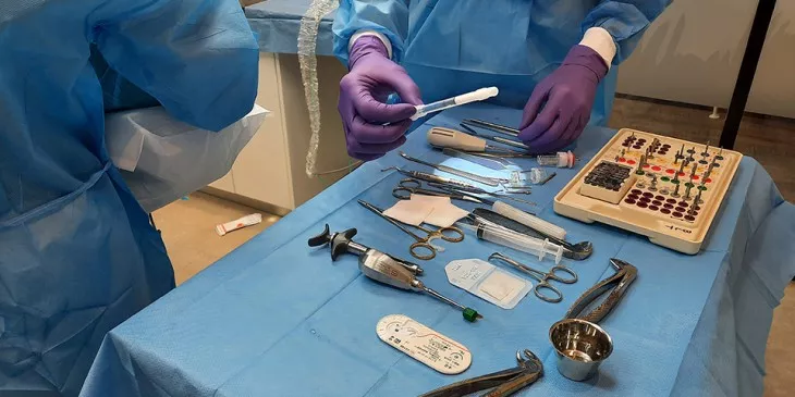 Bio Oss kunstbot korrels uit spuitje